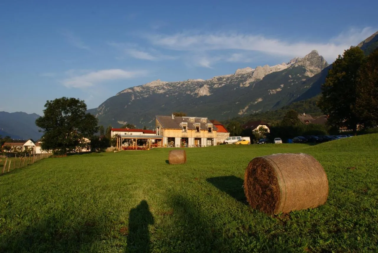 Poletni travnik z balami sena pod gorami