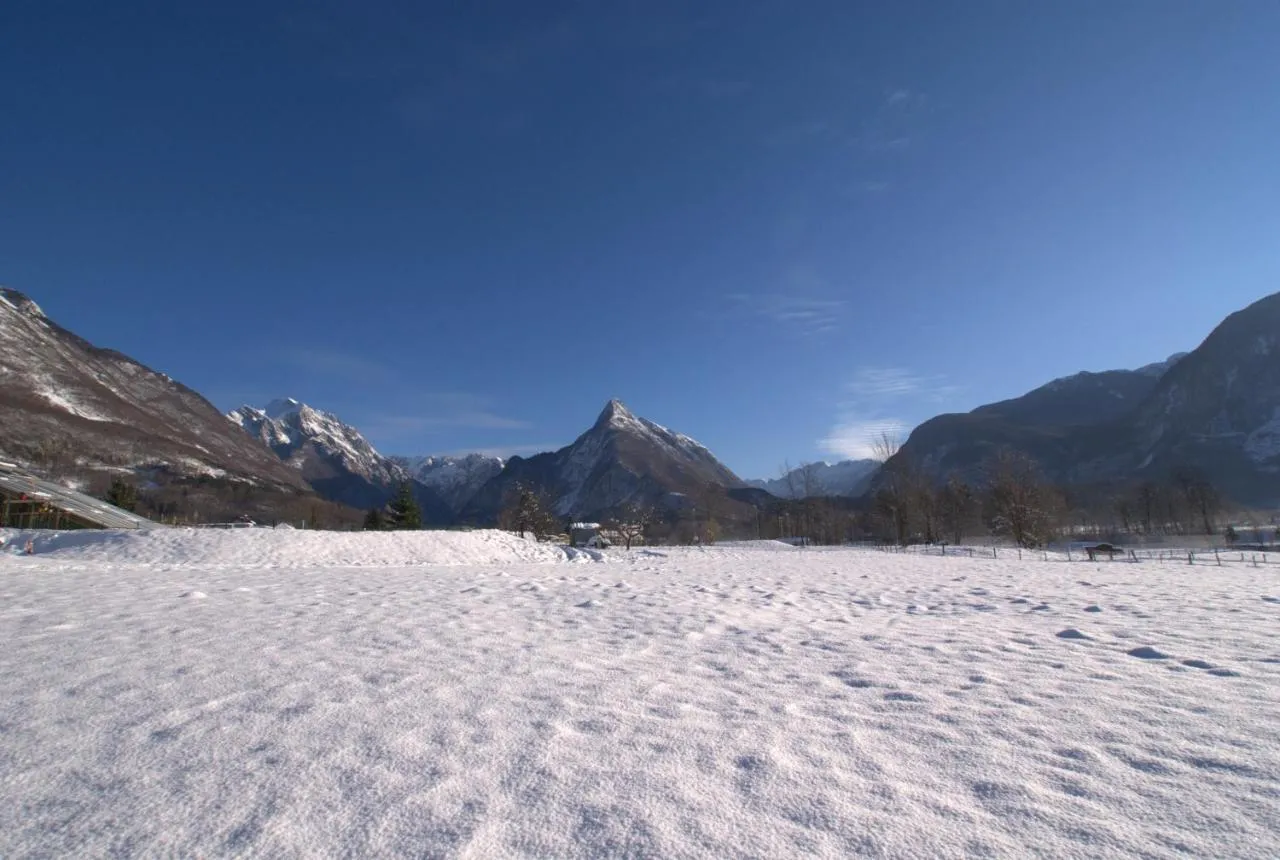Zasnežen travnik pred Svinjakom